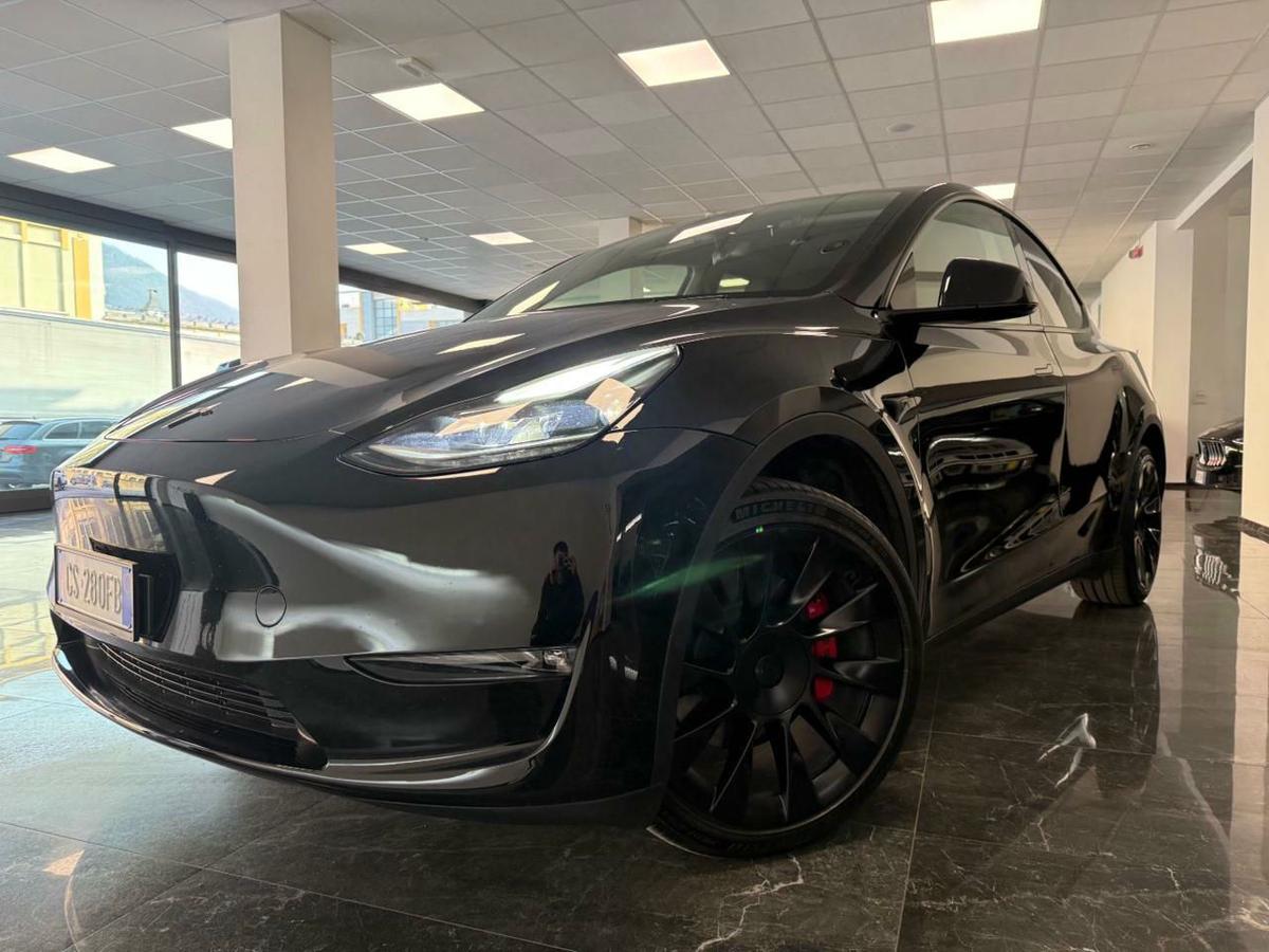 TESLA Model Y