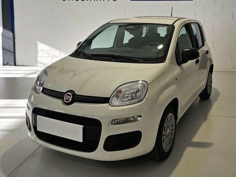 Fiat Panda 2025 - foto 1