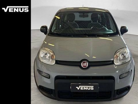 Fiat Panda 2023 - foto 1